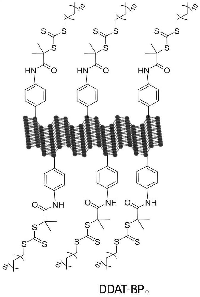 A kind of raft reagent based on black phosphorus and its preparation method and application