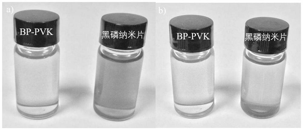 A kind of raft reagent based on black phosphorus and its preparation method and application