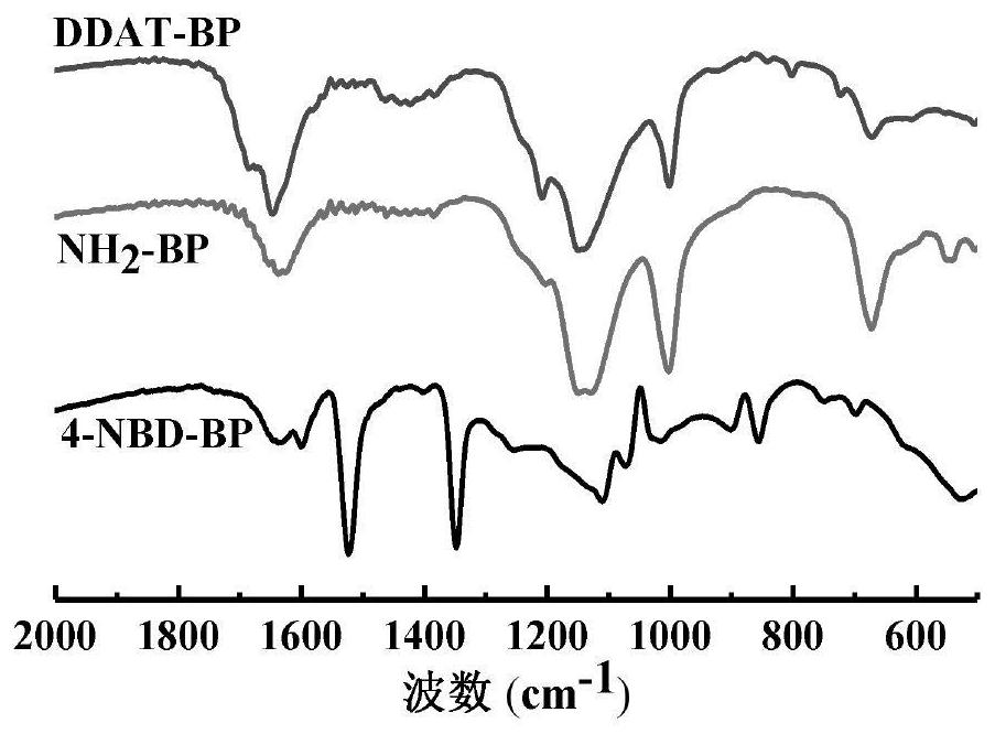 A kind of raft reagent based on black phosphorus and its preparation method and application