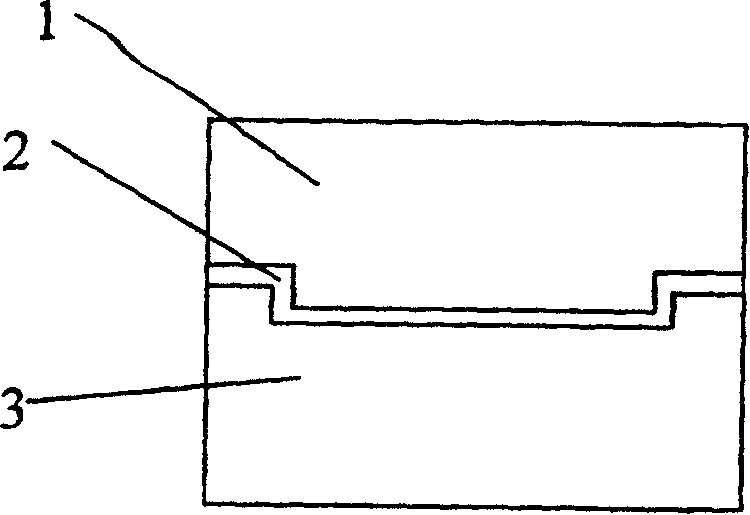 Complex tissue of tissue-engineered bone and cartilage and external constructing method thereof