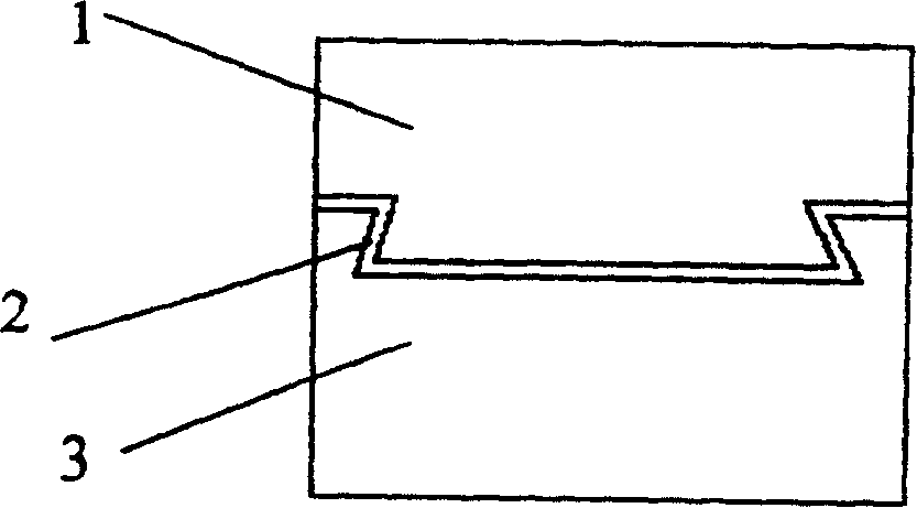 Complex tissue of tissue-engineered bone and cartilage and external constructing method thereof