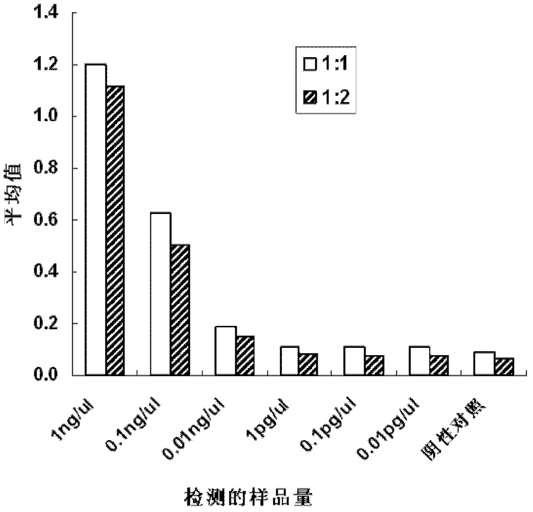 CREPT (Cell-cycle Related and Expression-elevated Protein in Tumor) antibody for identifying tumor cells or tumor tissues