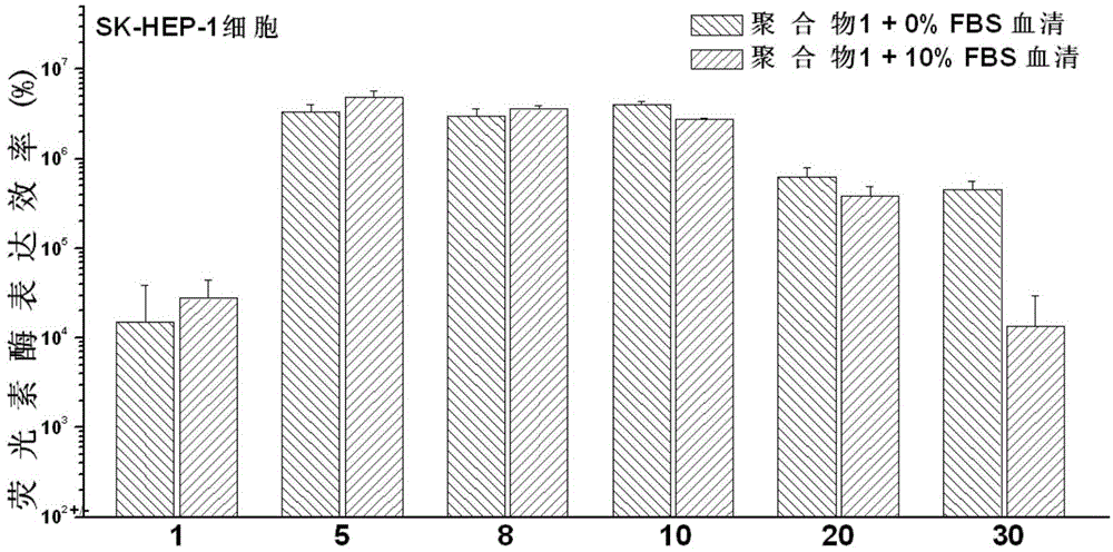 Polymethacrylamide cationic polymer cooperatively modified by side groups natural arginine and lactobionic acid, preparation method and application