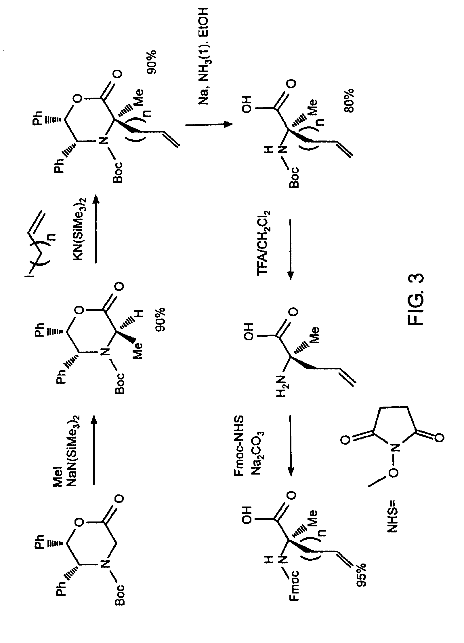 Stabilized compounds having secondary structure motifs