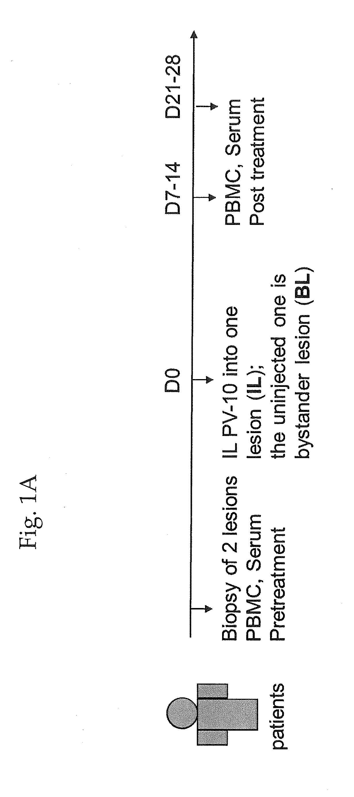 Method of Ex Vivo Enhancement of Immune Cell Activity for Cancer Immunotherapy with a Small Molecule Ablative Compound