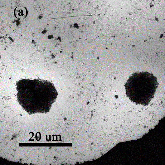 Preparation method of attapulgite clay nanorod crystal composite microsphere adsorbent