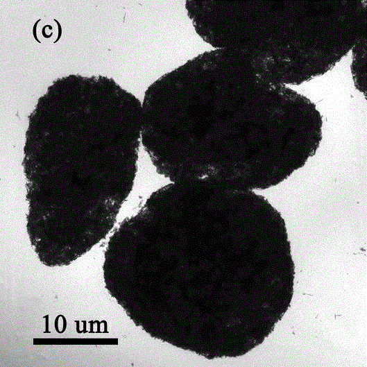 Preparation method of attapulgite clay nanorod crystal composite microsphere adsorbent
