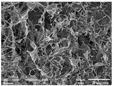 Carbon composite gelatin sponge and preparation method thereof