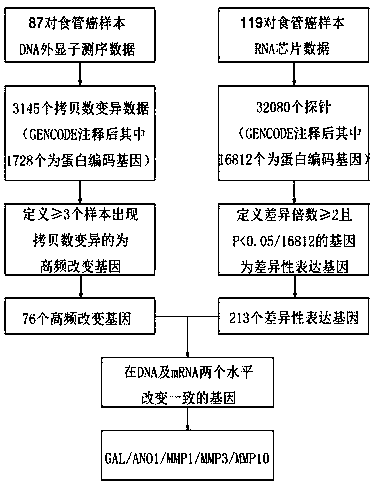 A biomarker for predicting prognosis in esophageal squamous cell carcinoma