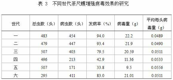 Method of raising ectropis oblique warren through sambucus chinensis and Ectropis grisescens nucleopolyhedrovirus (EcobNPV) propagation method utilizing same