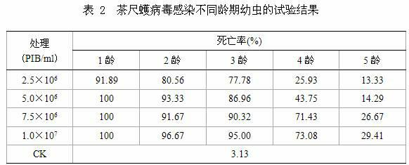 Method of raising ectropis oblique warren through sambucus chinensis and Ectropis grisescens nucleopolyhedrovirus (EcobNPV) propagation method utilizing same