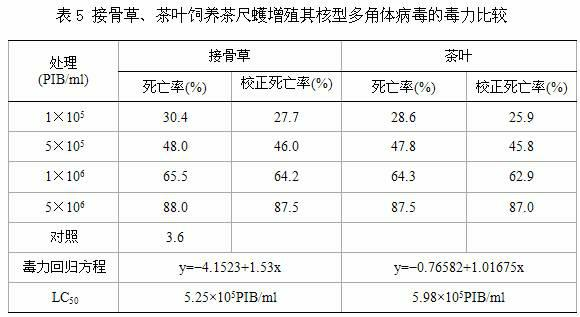 Method of raising ectropis oblique warren through sambucus chinensis and Ectropis grisescens nucleopolyhedrovirus (EcobNPV) propagation method utilizing same