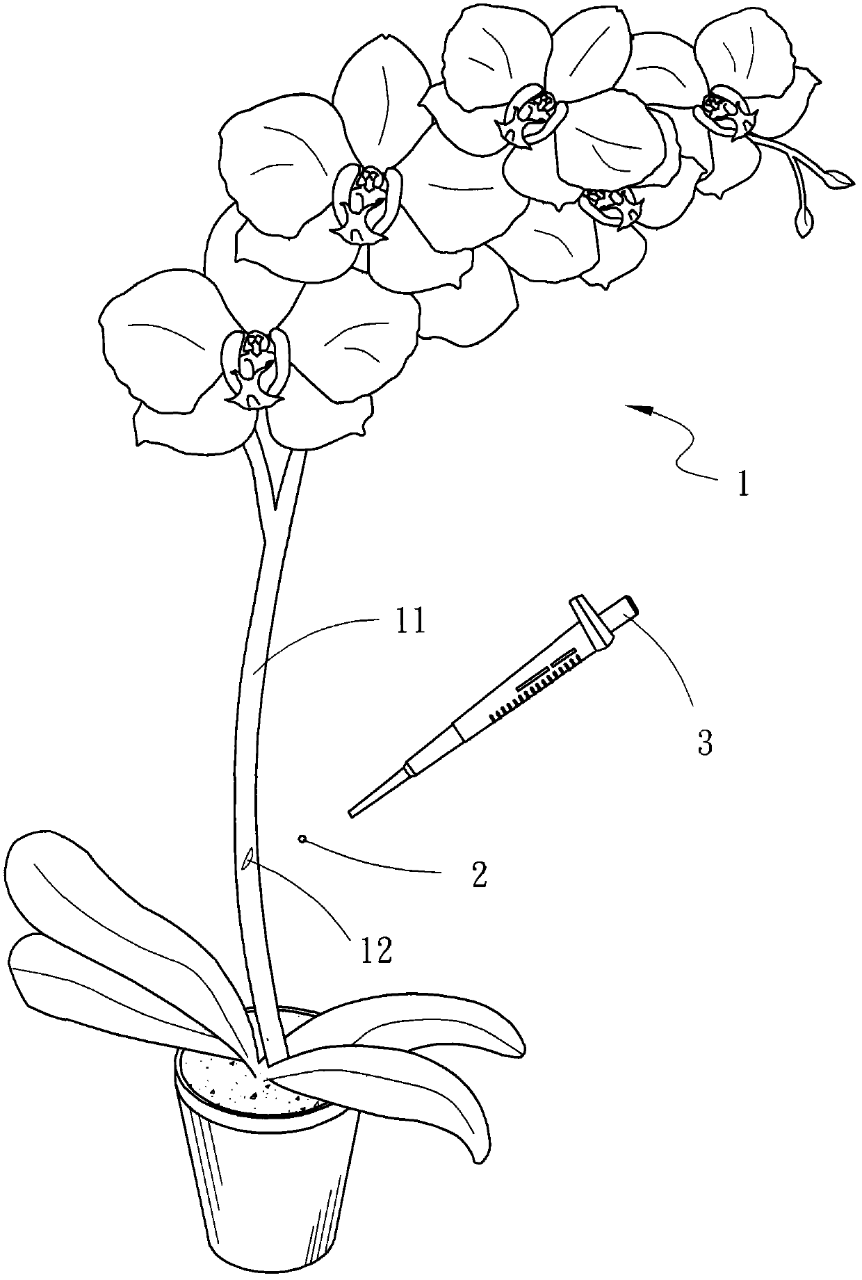 Method for changing flower color of orchid