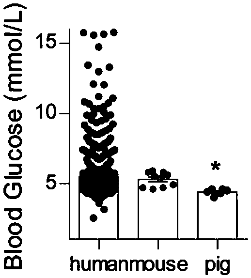 Composition for predicting and curing treating type 2 diabetes mellitus, evaluation method and preparation of composition for predicting and treating type 2 diabetes mellitus