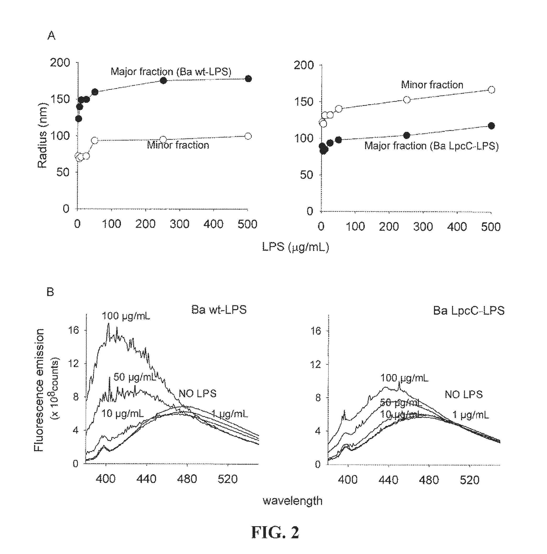 Modified gram-negative bacteria for use as vaccines