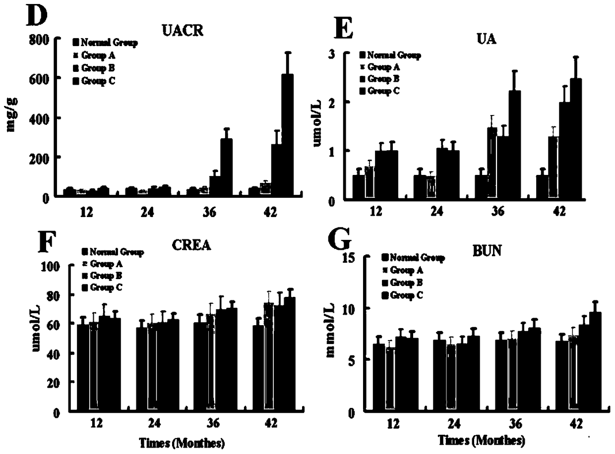 A kind of preparation method of rhesus monkey diabetic nephropathy model