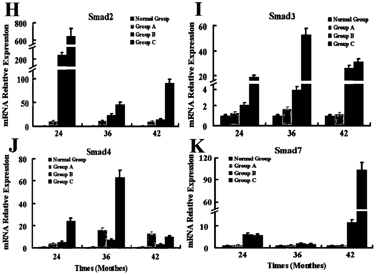 A kind of preparation method of rhesus monkey diabetic nephropathy model