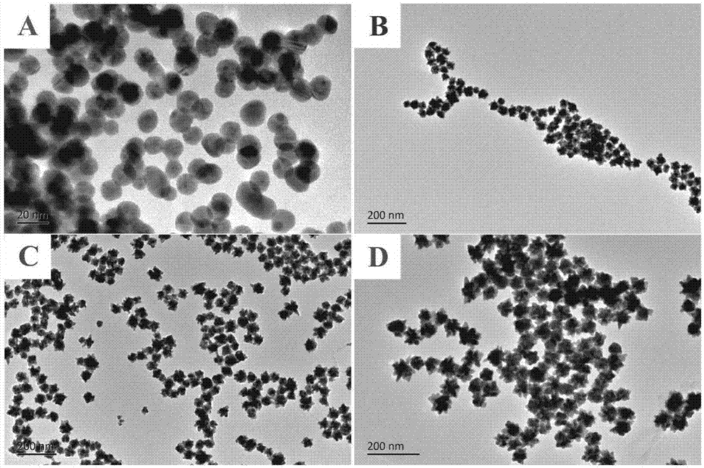 Preparing method of multi-branch colloidal gold nano particles with controllable grain diameter and high light absorbing intensity