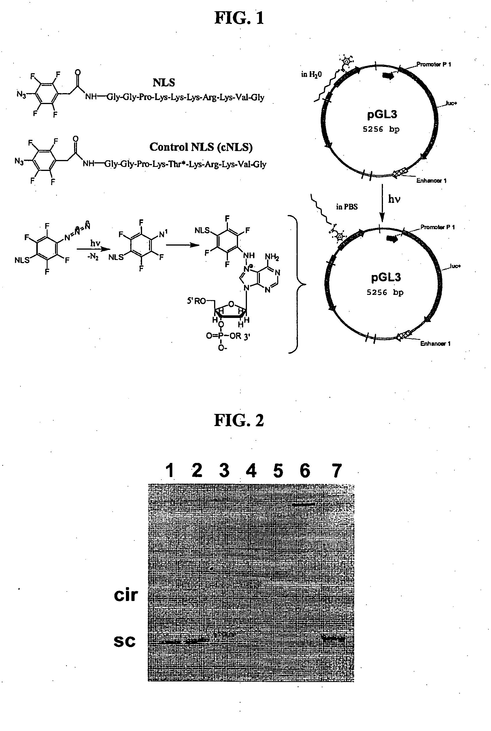 Compositions and methods for nucleic acid delivery