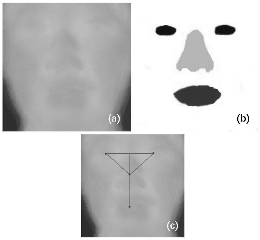 Thermal infrared face recognition method and system
