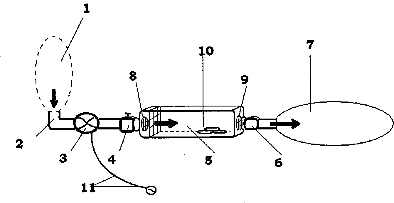 Experimental device and method for gas on-site exposure to toxicant