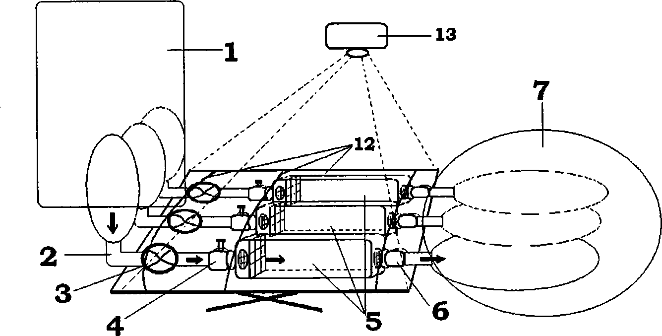 Experimental device and method for gas on-site exposure to toxicant