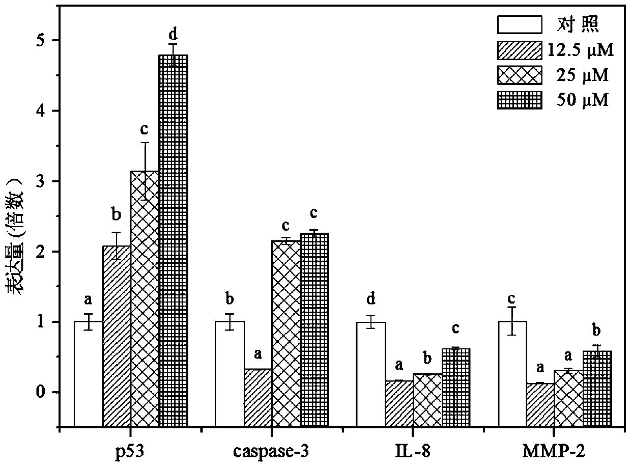 Application of Nobiletin