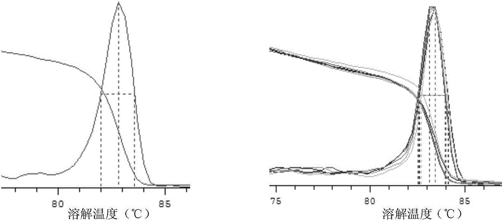 Method and artificial feed for enabling laodelphax striatellus to obtain rice stripe viruses