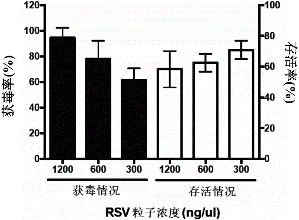 Method and artificial feed for enabling laodelphax striatellus to obtain rice stripe viruses