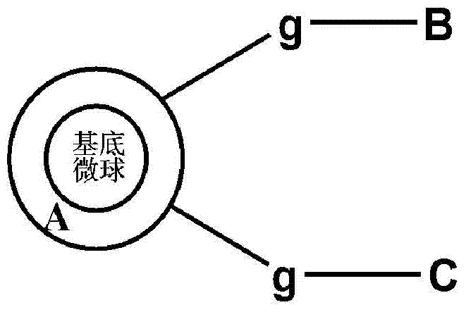 Water dispersible super-amphiphobic microsphere, preparation method and application thereof