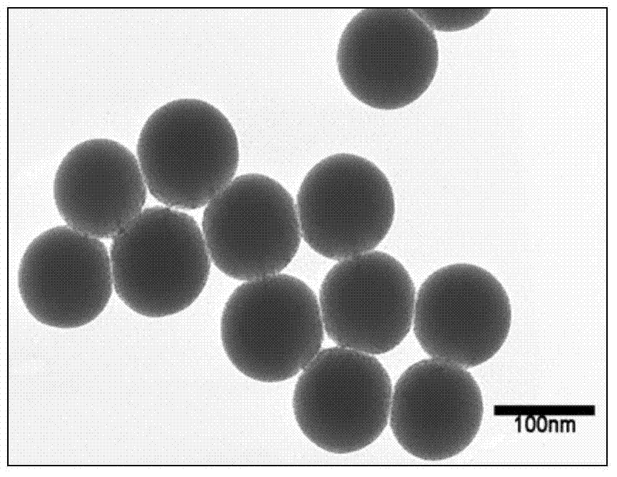 Water dispersible super-amphiphobic microsphere, preparation method and application thereof