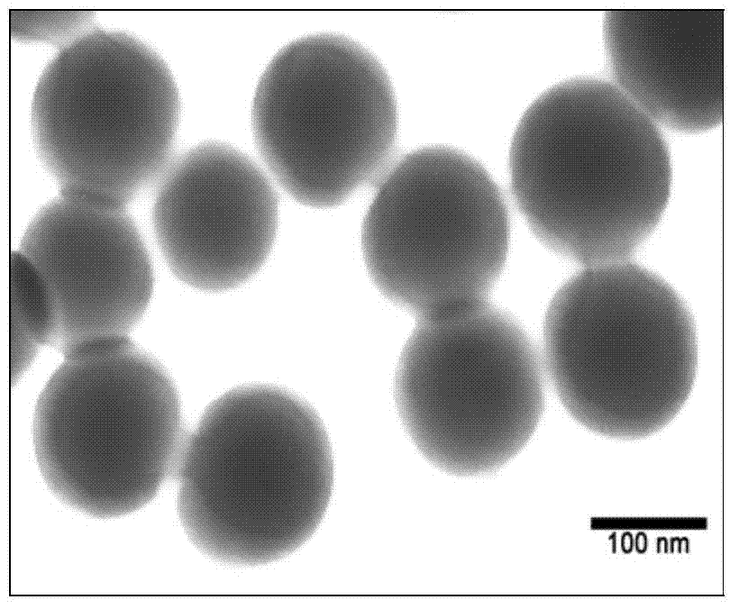 Water dispersible super-amphiphobic microsphere, preparation method and application thereof