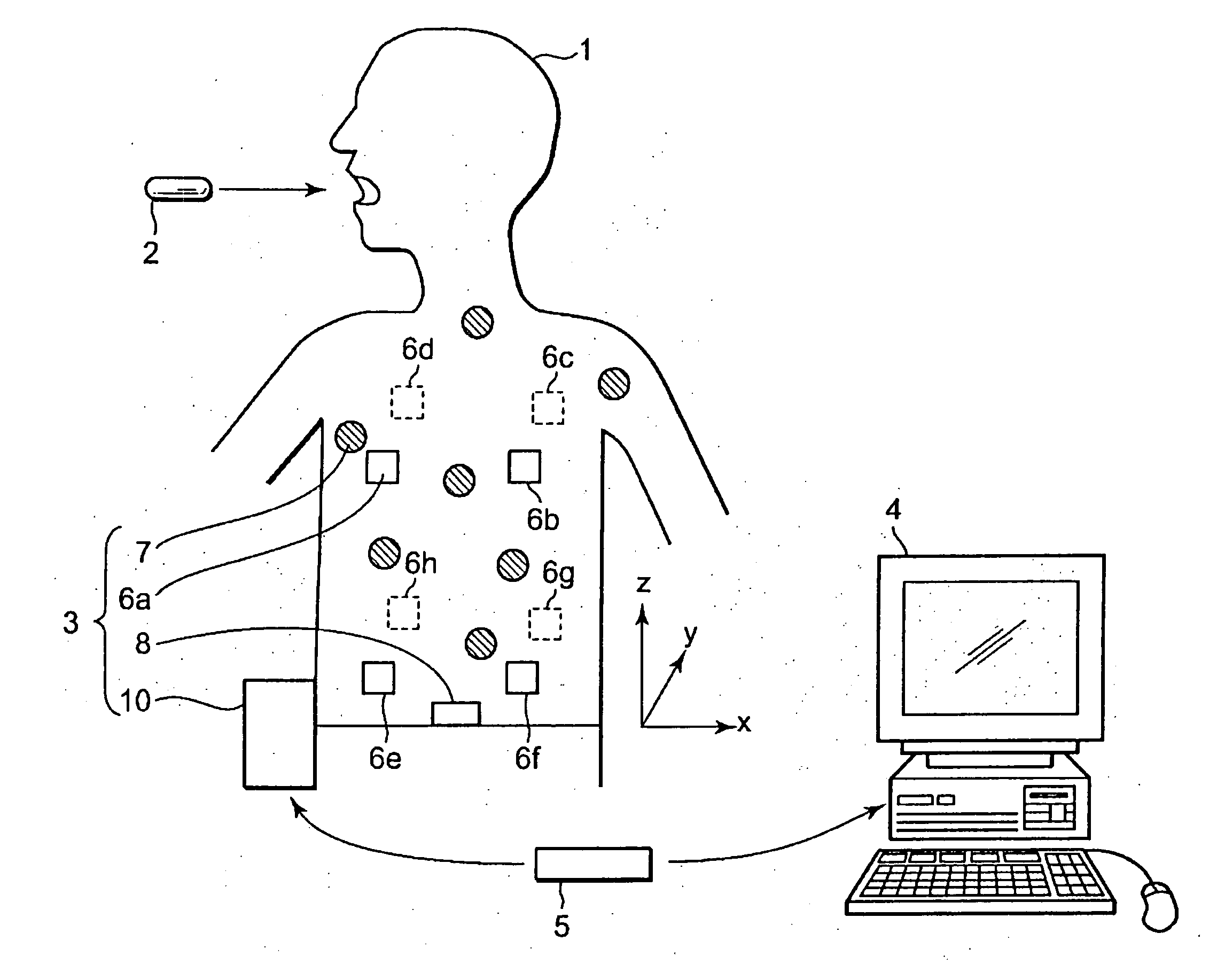 Intra-subject position display system