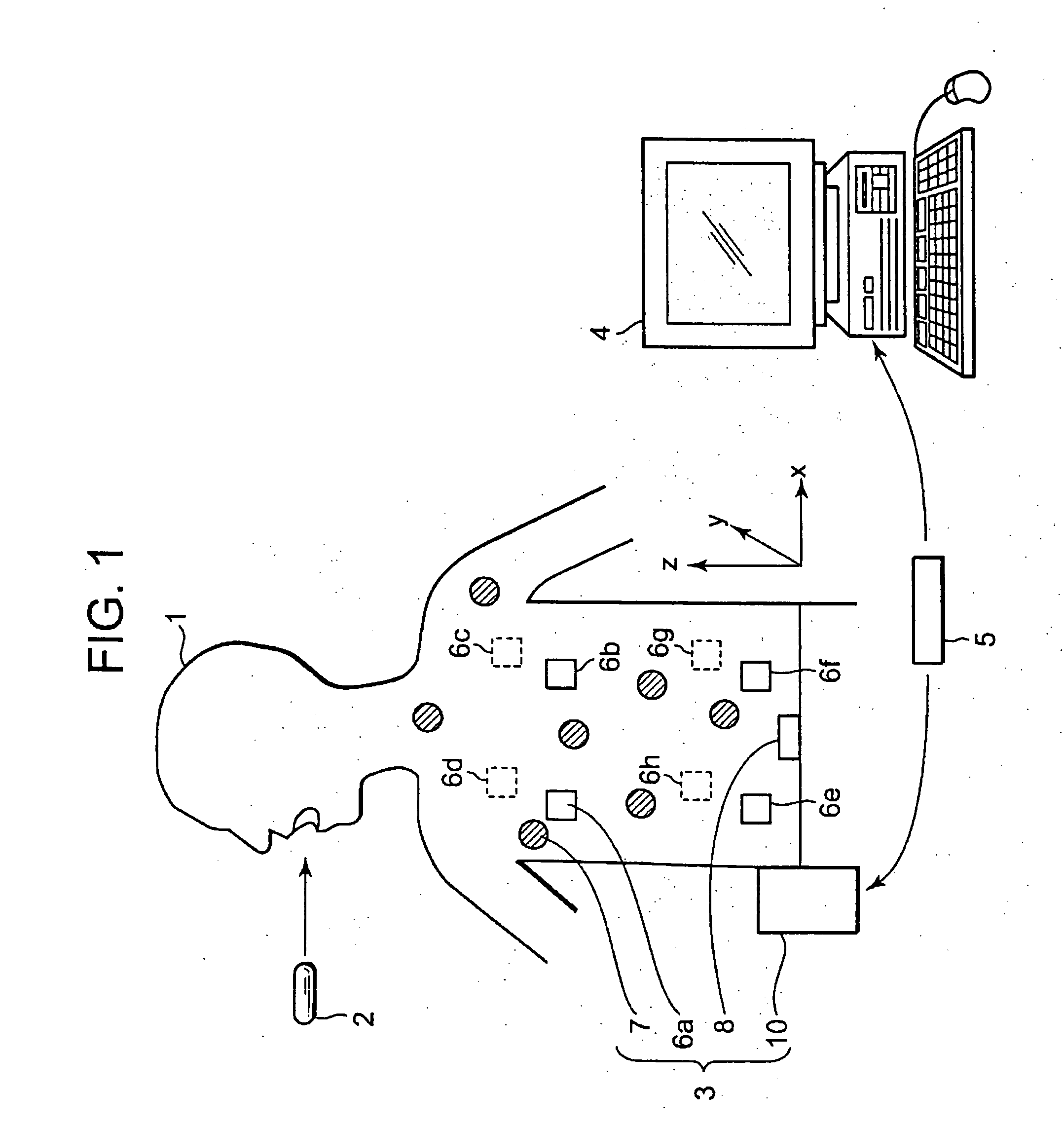 Intra-subject position display system