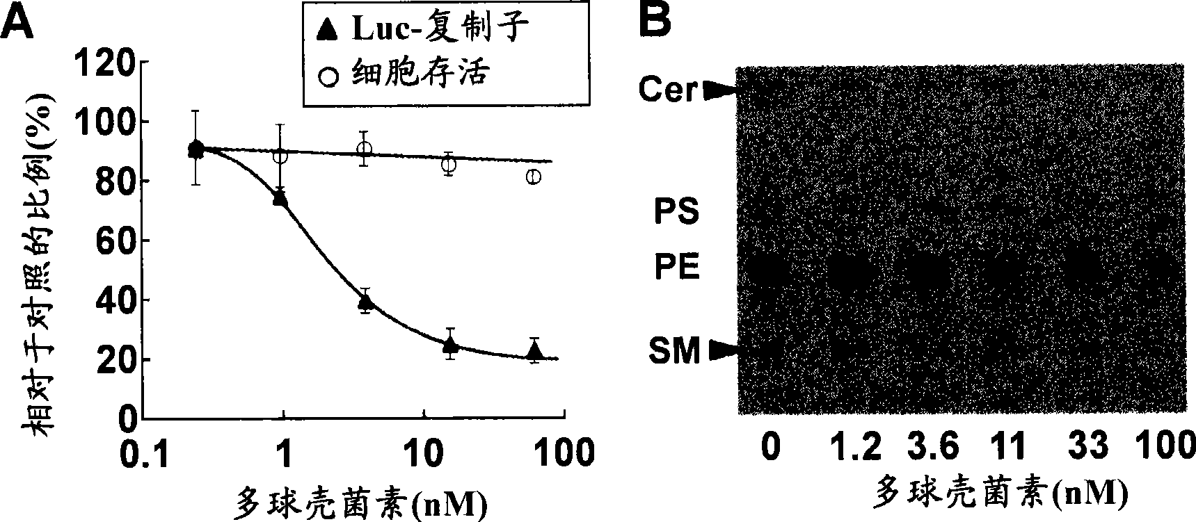 Pharmaceutical composition for treating or preventing hcv infection