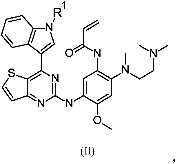 Thieno-pyrimidine derivatives and uses thereof