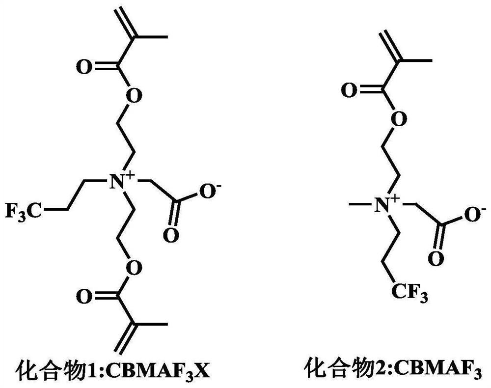 Zwitterionic fluorinated cross-linking agent, nanogel and application of nanogel