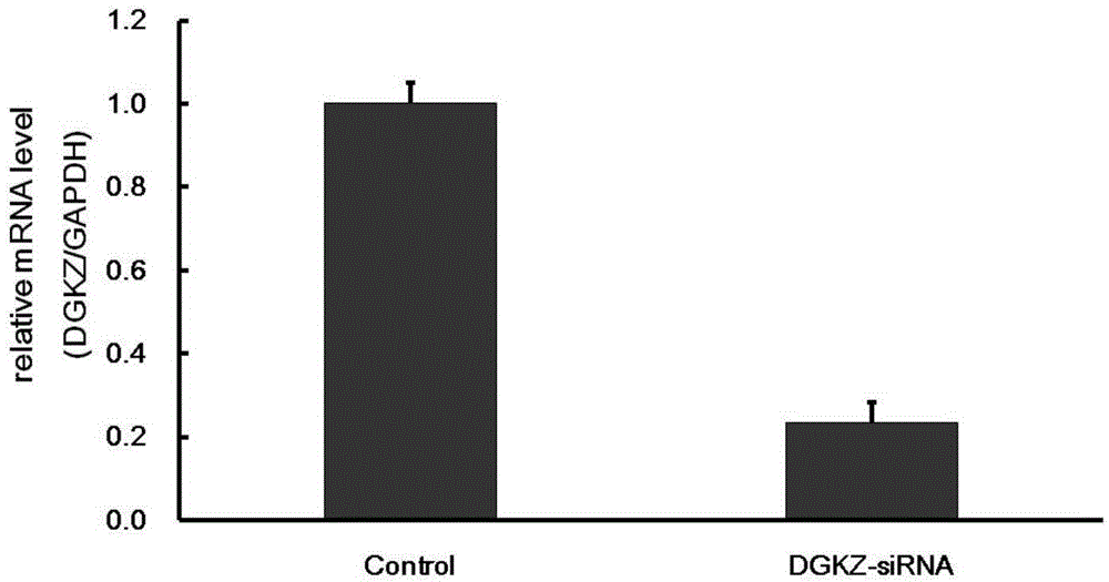 Applications of human DGKZ gene and related drugs thereof
