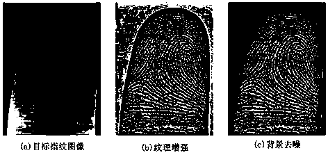 A fingerprint image enhancement method based on phase stretching transformation