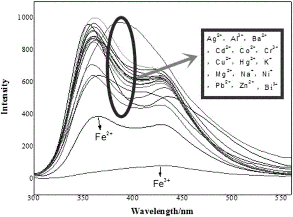 Iron ion fluorescent probe compound as well as preparation method and application thereof