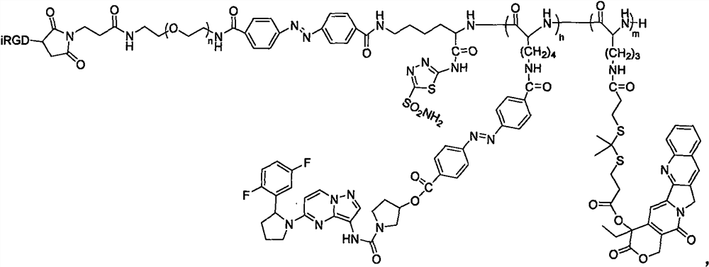 Hypoxic/ROS response type prodrug for blocking pancreatic duct adenocarcinoma innervation through deep penetration