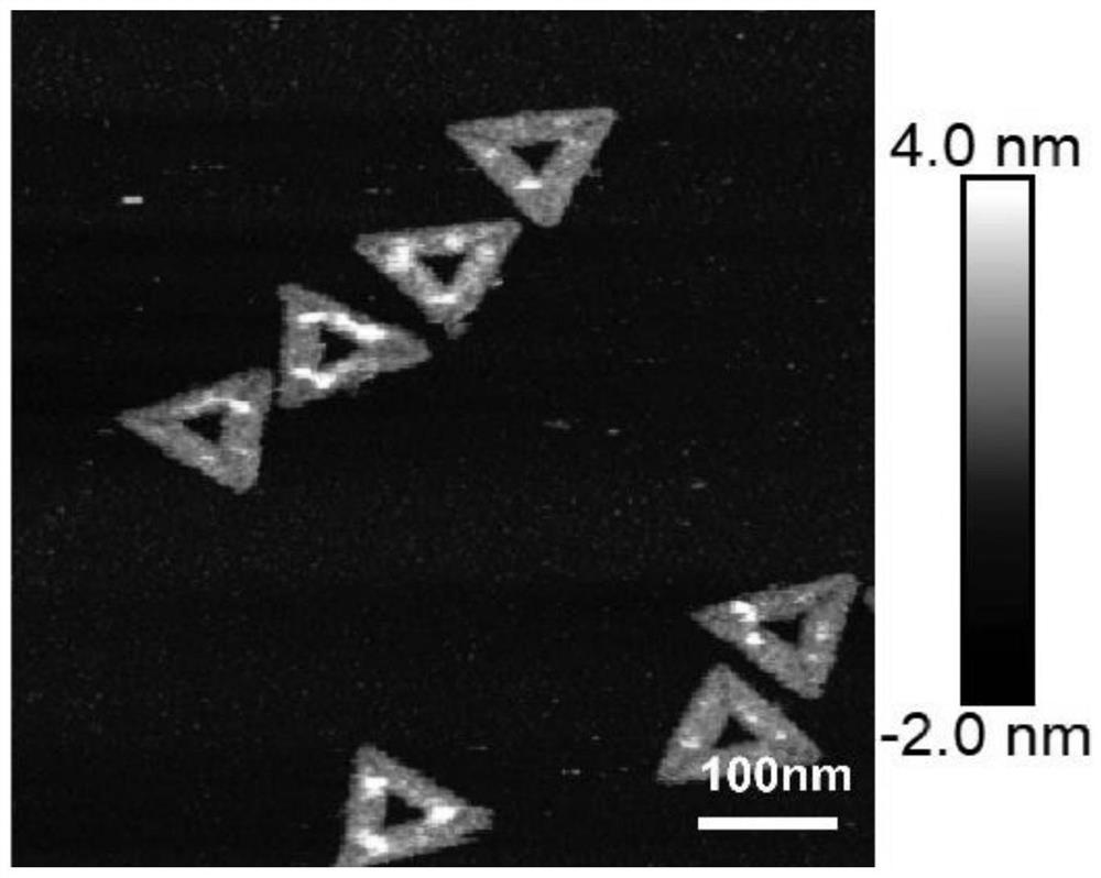 DNA (deoxyribonucleic acid) nano system for tumor targeting as well as preparation method and application of DNA nano system