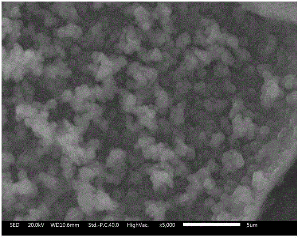 Iron oxide loaded biomass carbonized microspheres and preparation method and application thereof