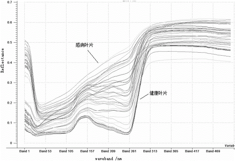 Profile plot-based rice bacterial leaf blight hyperspectral image dimensionality reduction method