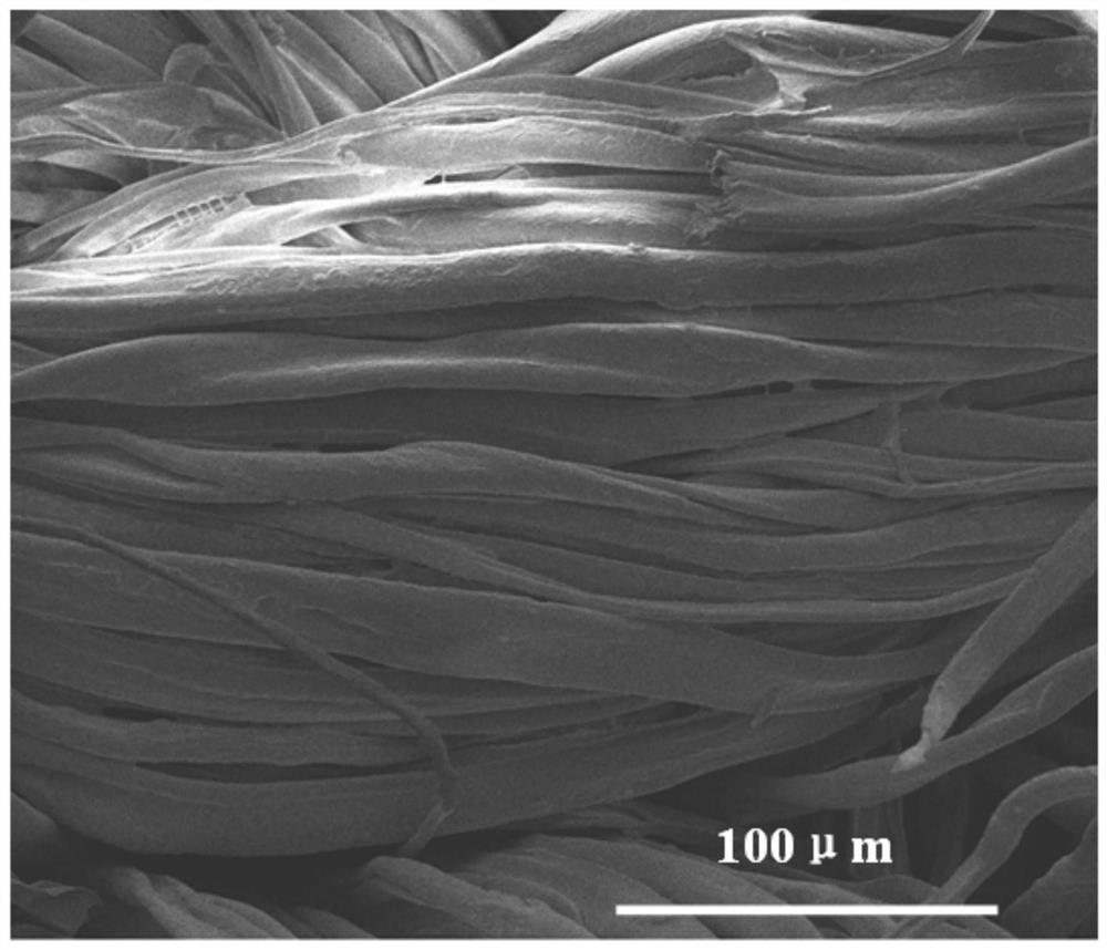 A kind of super-oleophilic super-hydrophobic coating and its preparation method and application