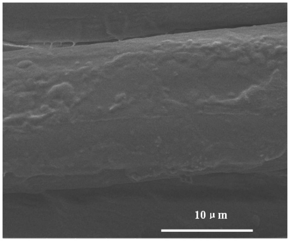 A kind of super-oleophilic super-hydrophobic coating and its preparation method and application