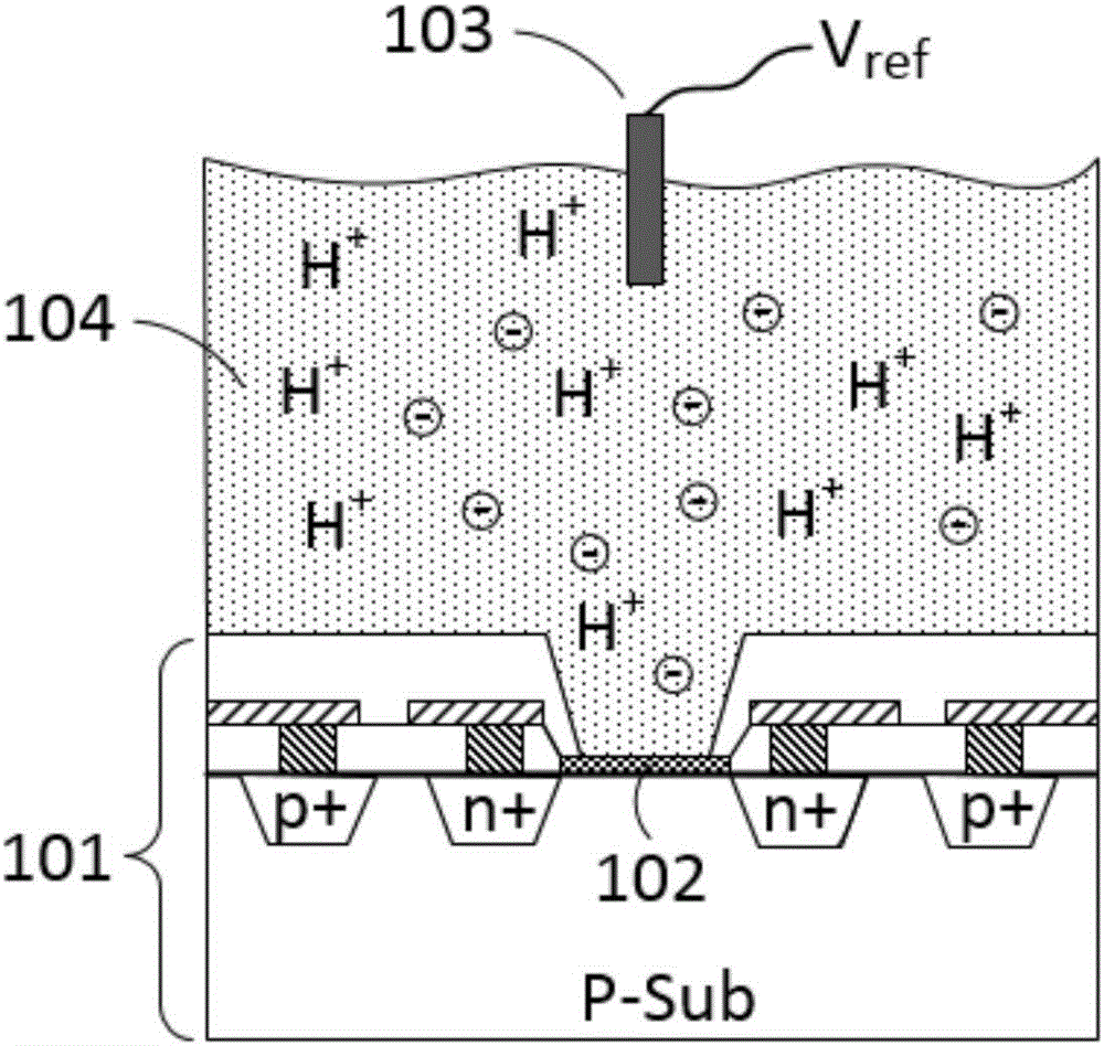 High-sensitivity pH value biosensor chip