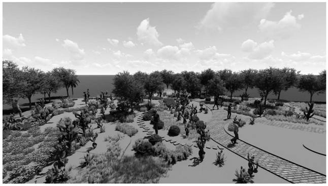 Landscape construction method of tropical psammophyte germplasm resource garden