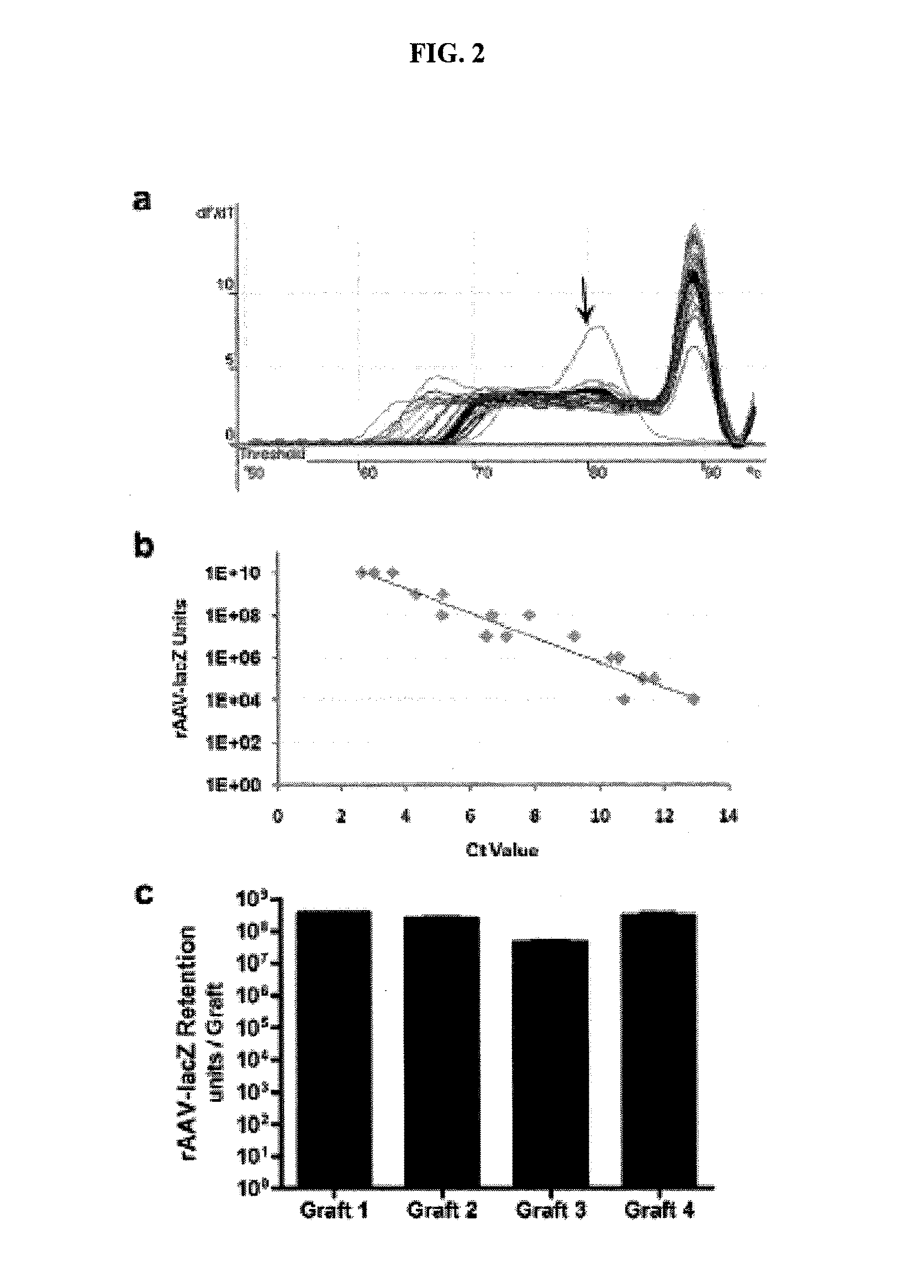 Targeted delivery of therapeutic agents with lyophilized matrices