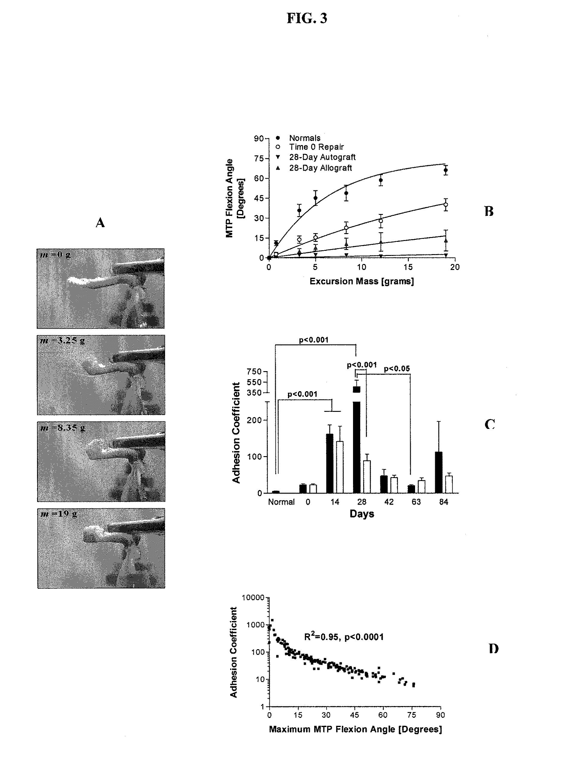 Targeted delivery of therapeutic agents with lyophilized matrices